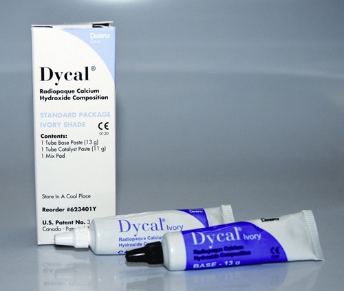 Dentsply Dycal Radiopaque Calcium Hydroxide Composition Ivory Shade - Image 2