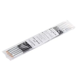 5 Piece Pack Tokuyama Estelite Omega Color Brush No. 24