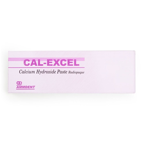 Ammdent Cal Excel - Image 2