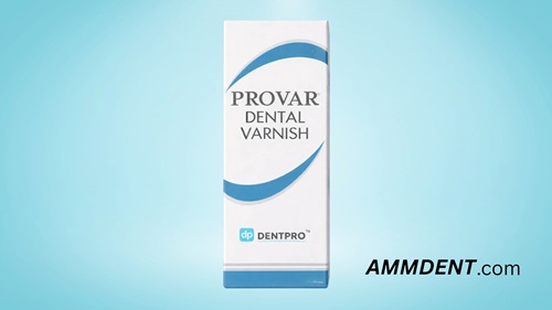 Ammdent Provar Cavity Varnish