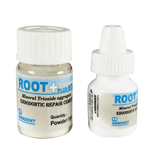 Ammdent Root Plus MTA - Image 2