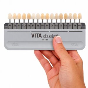 Vita Classical Shade Guide
