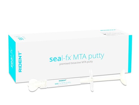 Rident Seal-FX MTA Putty Resin Based Root Canal Sealing Material 2x1gm